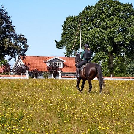 Mollegade 1 Holiday House Nordborg Extérieur photo