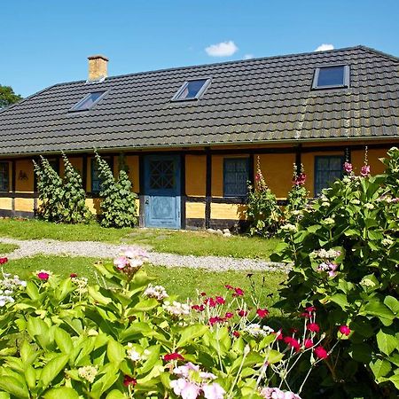 Mollegade 1 Holiday House Nordborg Extérieur photo